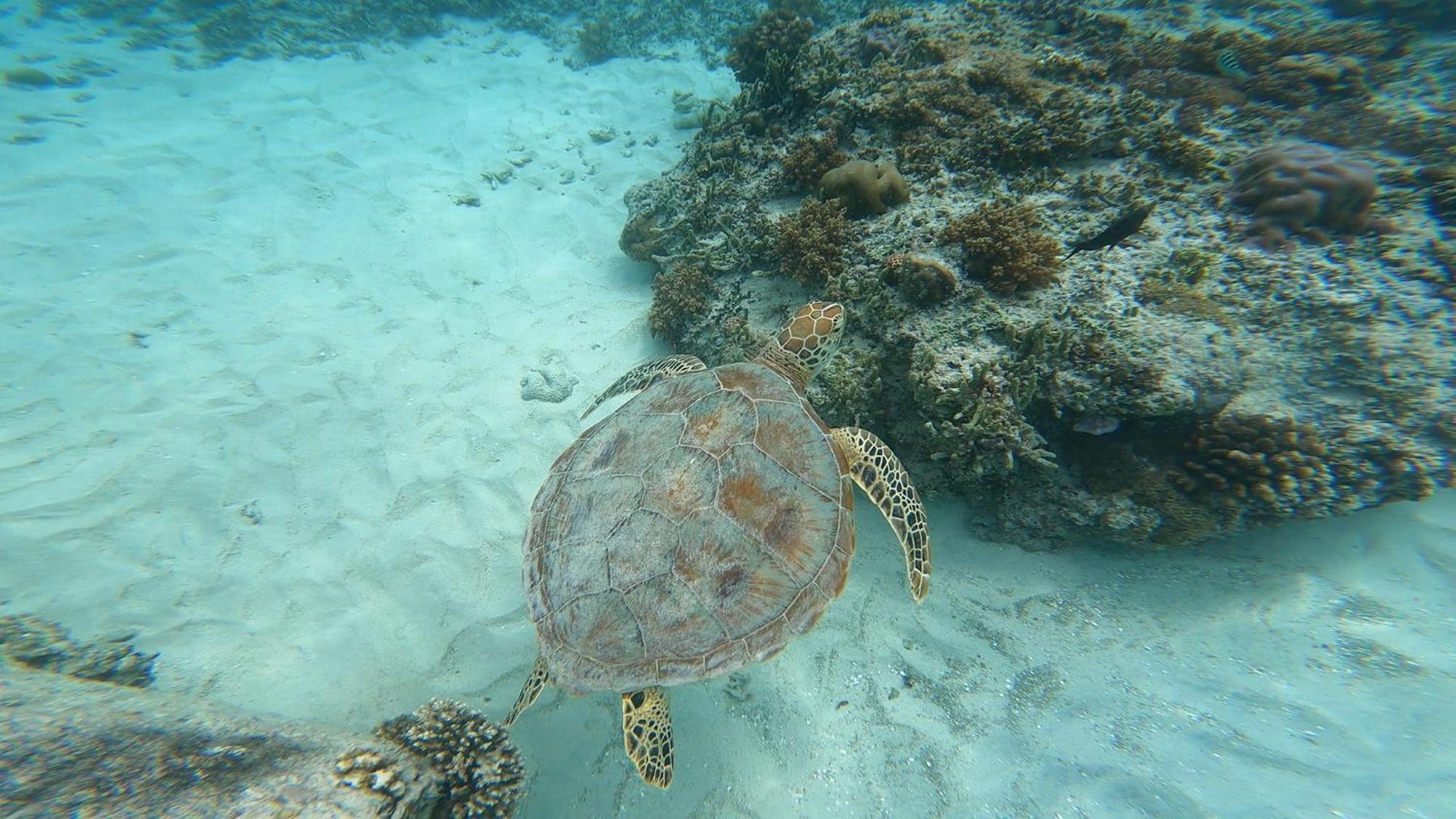 Mara'Ai Le Spot Tubuai Chambre Triple Taahueia Deluxe Sdb Privee Avec Piscine Mataura Bagian luar foto
